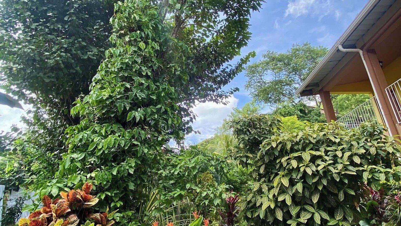 Photo of Outdoor in Las Pampas
