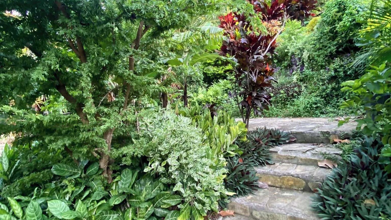Photo of Outdoor in Las Pampas