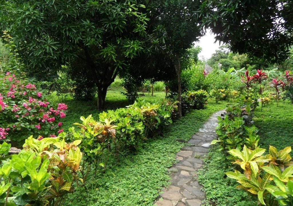 Photo of Patio Balcony in Merida