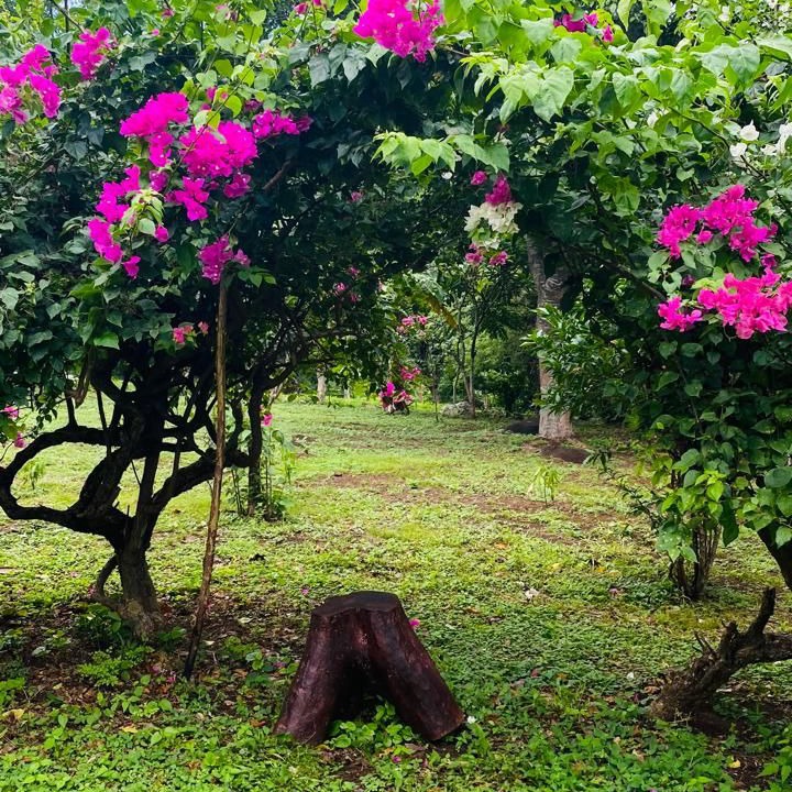 Photo of Outdoor in Merida