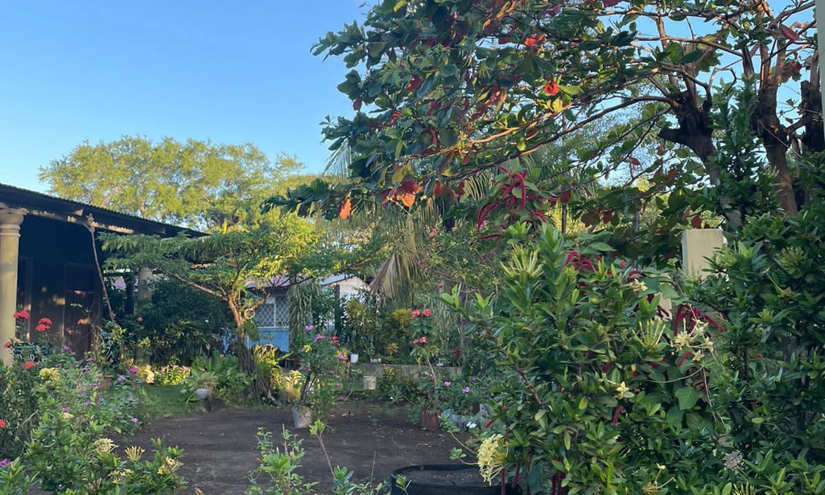 Photo of Outdoor in Ometepe Island