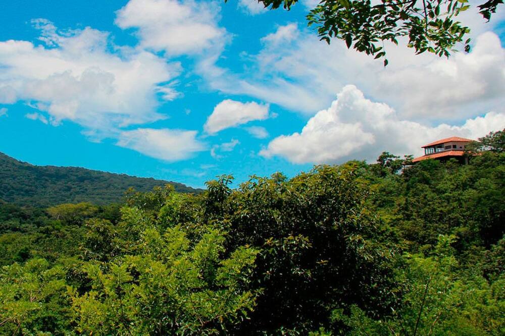 Photo of Others in Mombacho Volcano Nature Reserve