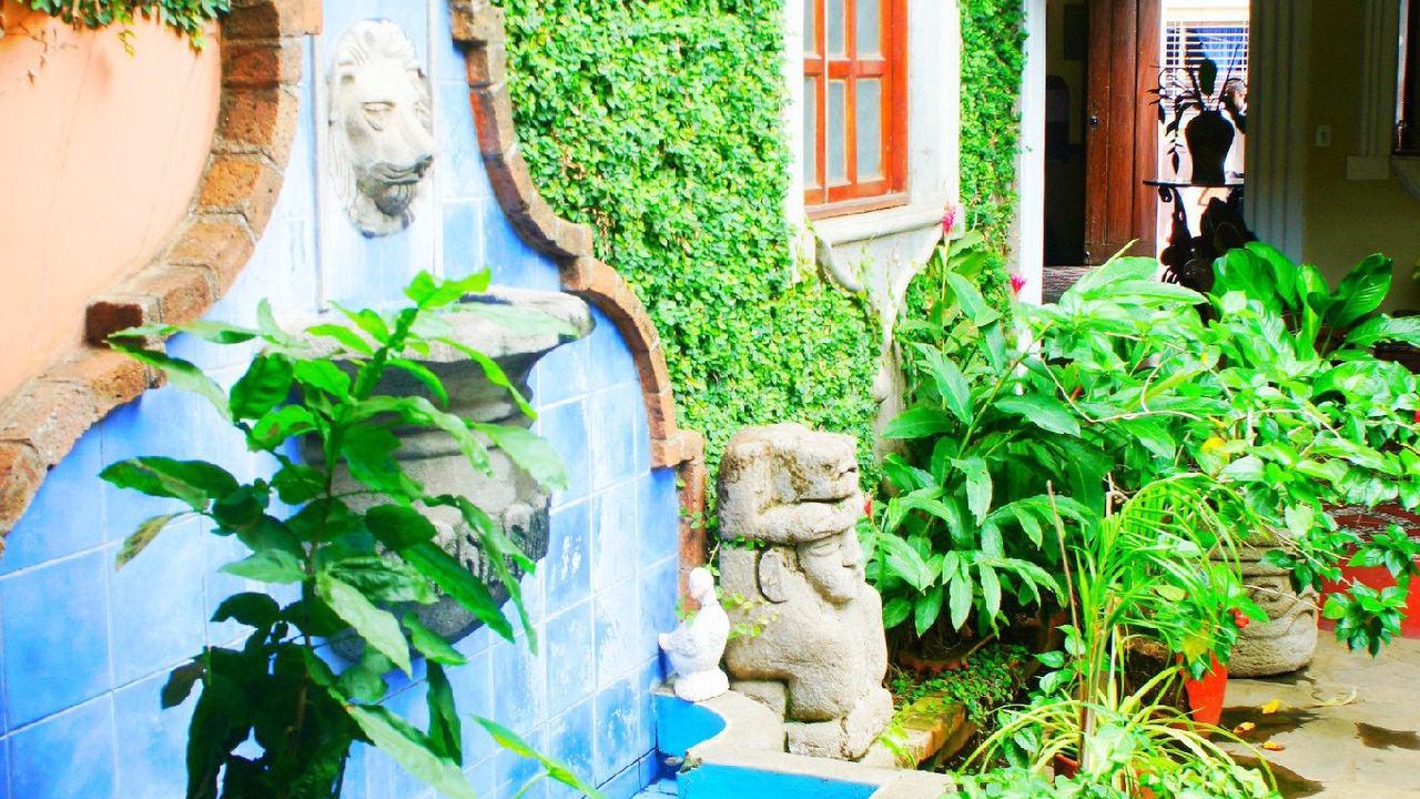 Photo of Outdoor in Leon