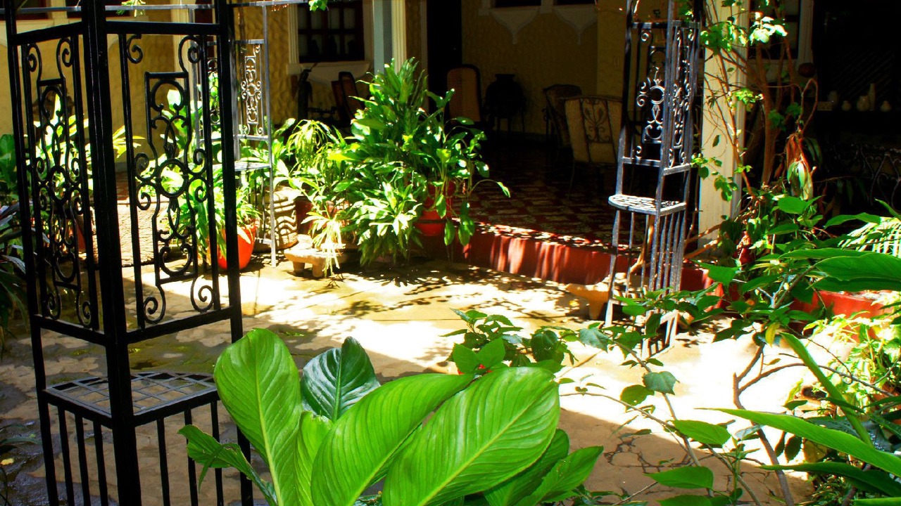 Photo of Patio Balcony in Leon