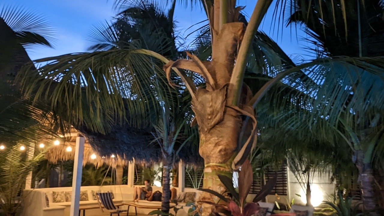 Photo of Outdoor in Las Penitas