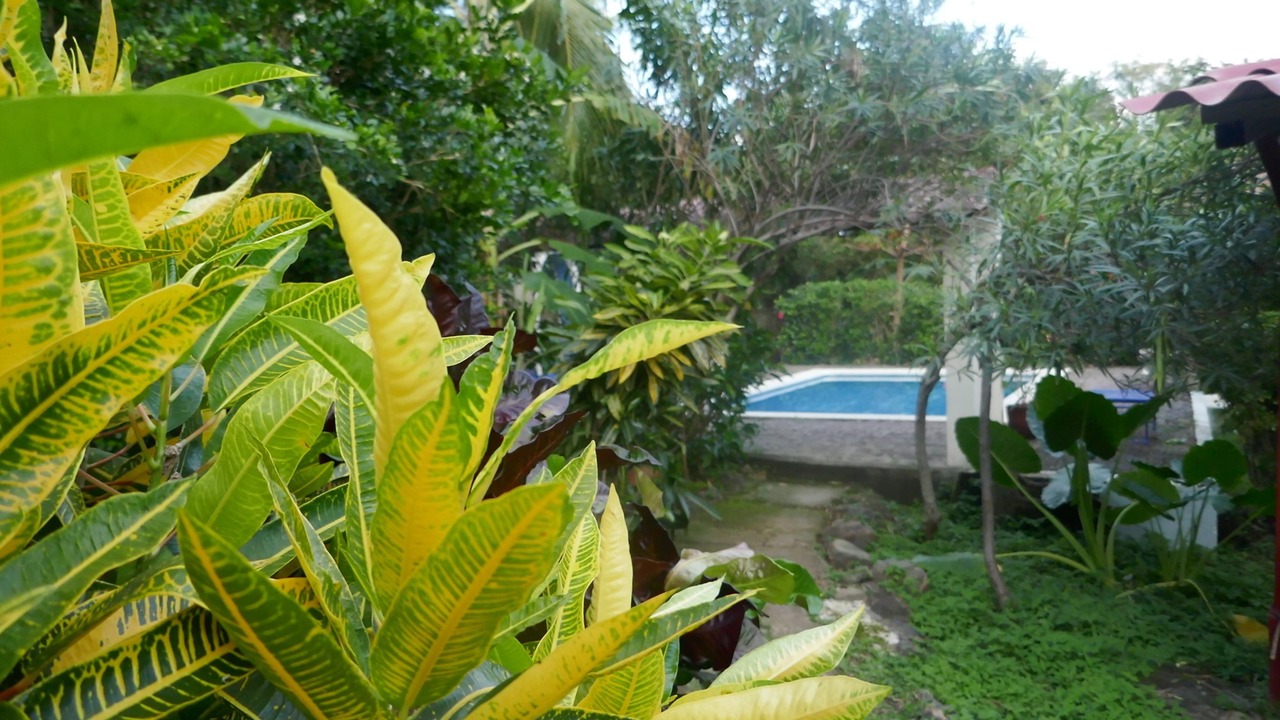 Photo of Outdoor in San Juan del Sur