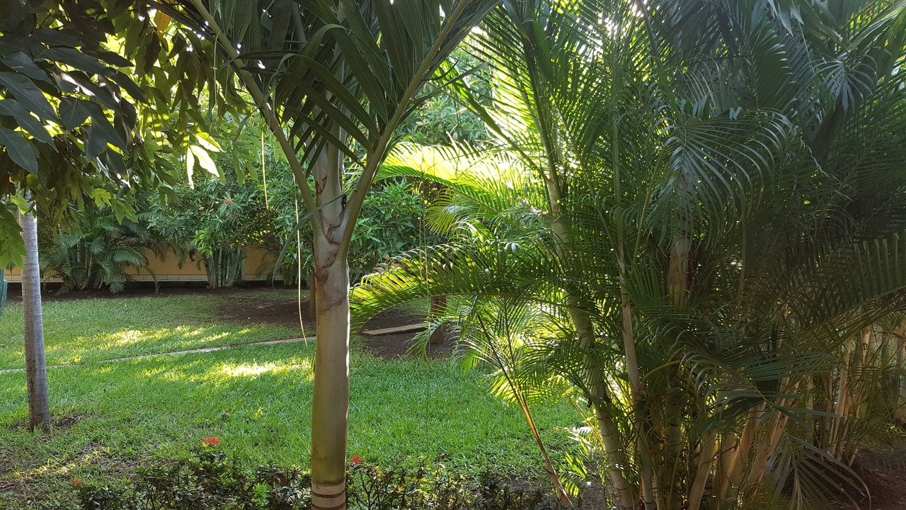 Photo of Patio Balcony in Managua