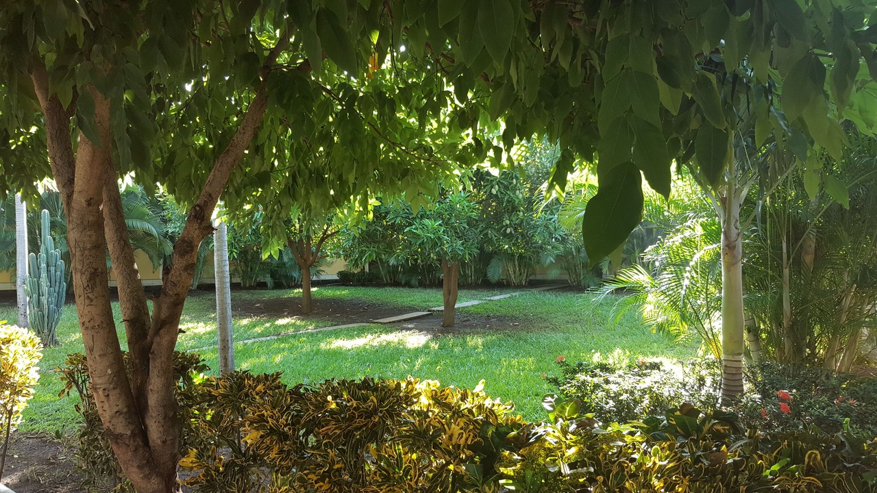 Photo of Patio Balcony in Managua