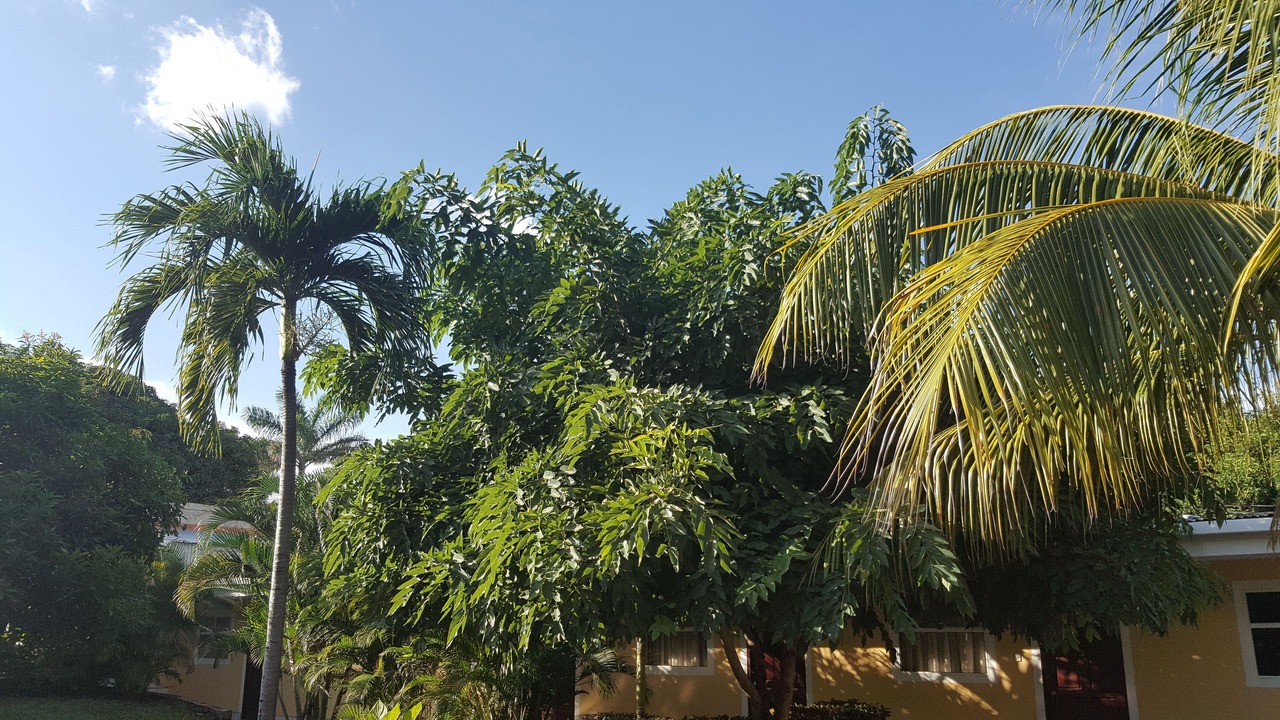 Photo of Patio Balcony in Managua