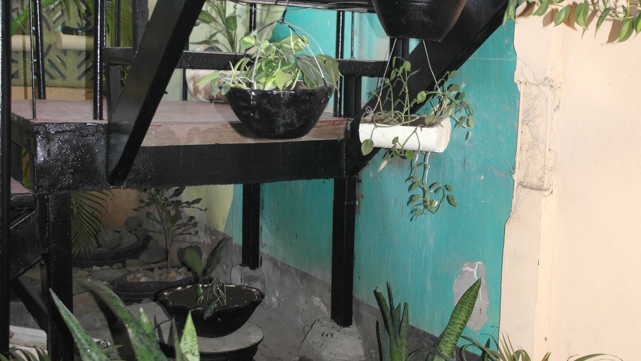 Photo of Outdoor in Managua