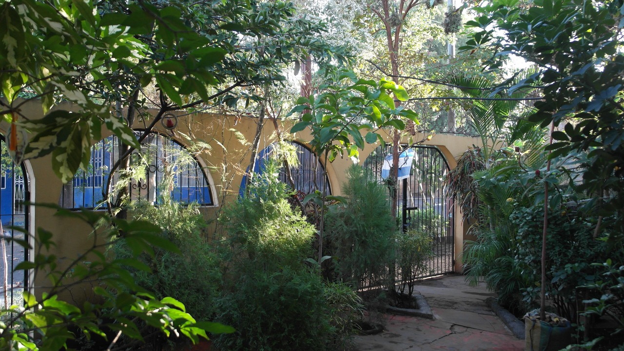 Photo of Outdoor in Managua