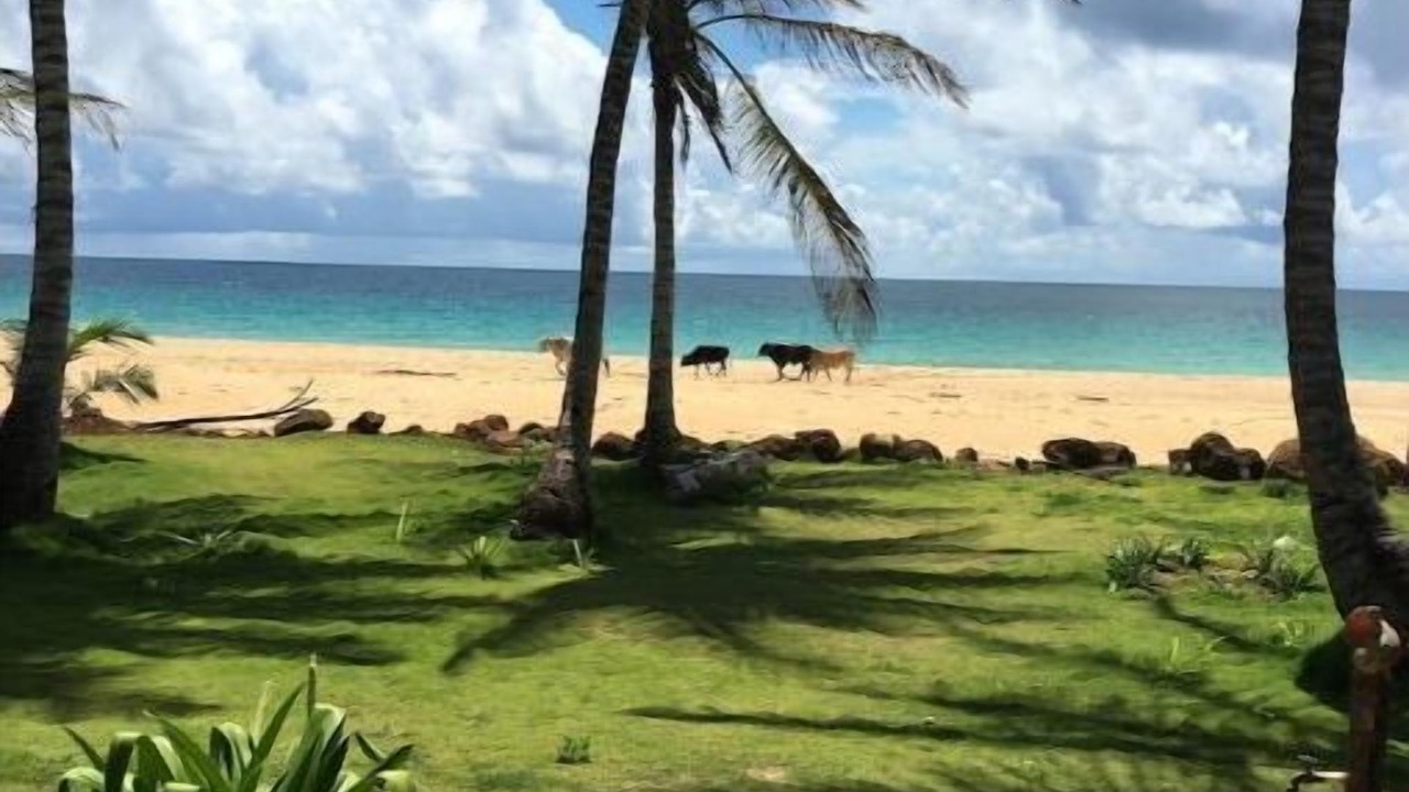 Photo of Others in Corn Island