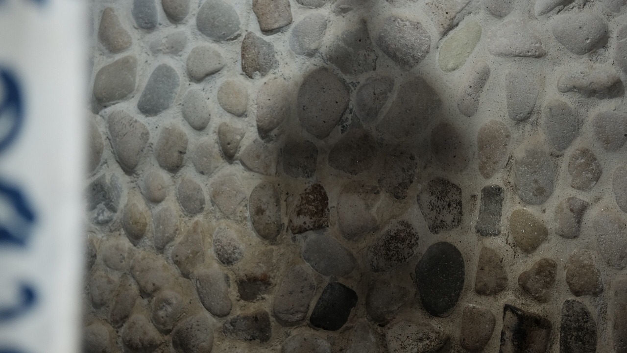 Photo of Bathroom in Chinandega