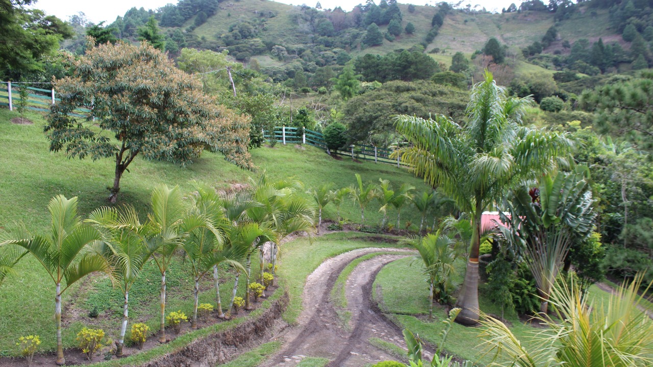 Photo of Outdoor in San Rafael del Norte