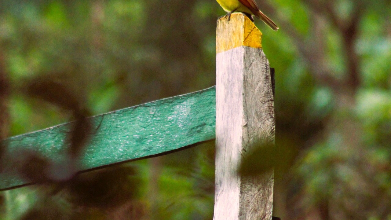 Photo of Outdoor in San Rafael del Norte