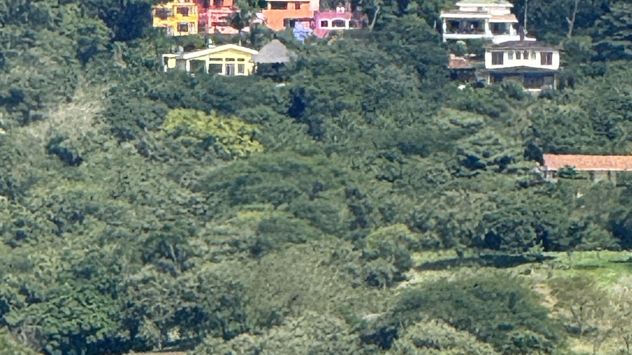 Photo of Others in San Juan del Sur