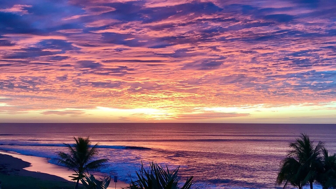 Photo of Others in San Diego