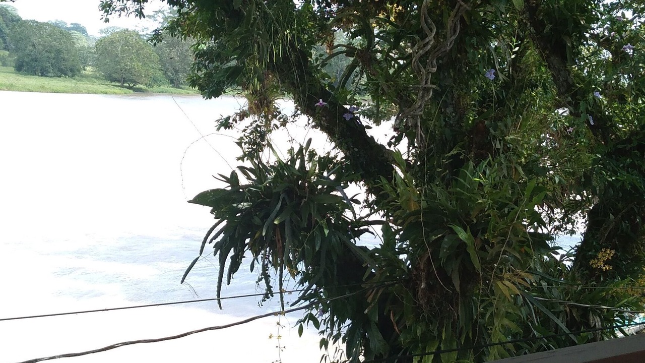 Photo of Outdoor in San Miguelito