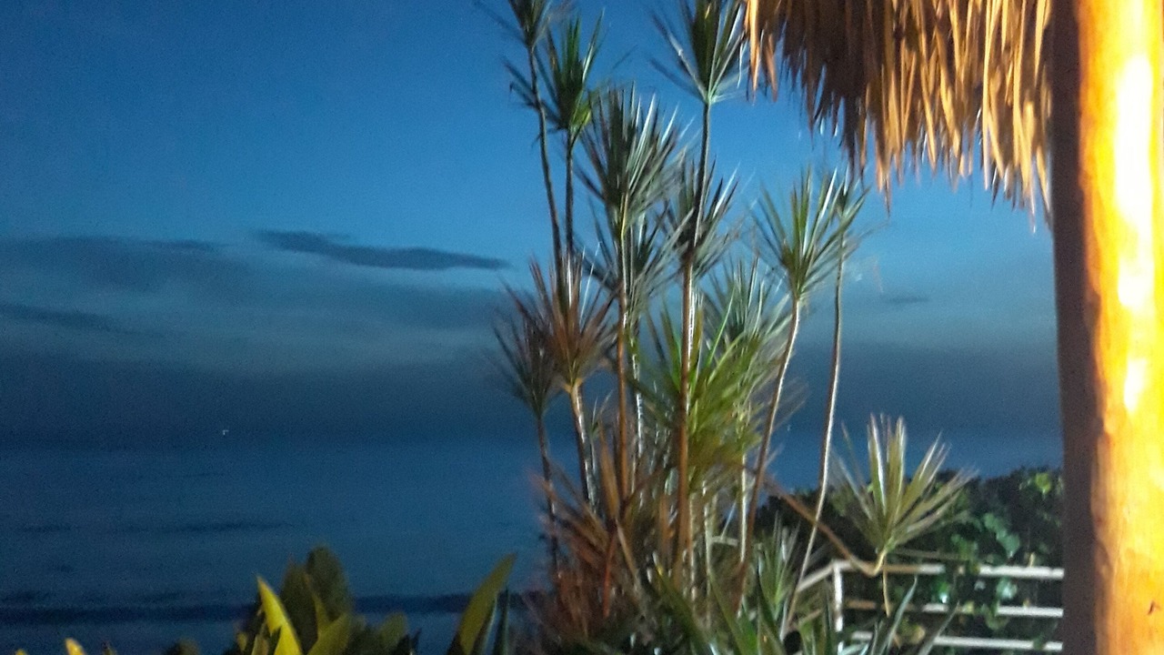 Photo of Others in Masachapa