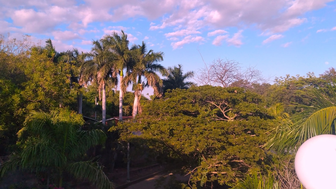 Photo of Outdoor in Masachapa