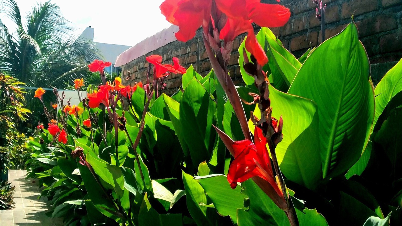Photo of Outdoor in Masachapa
