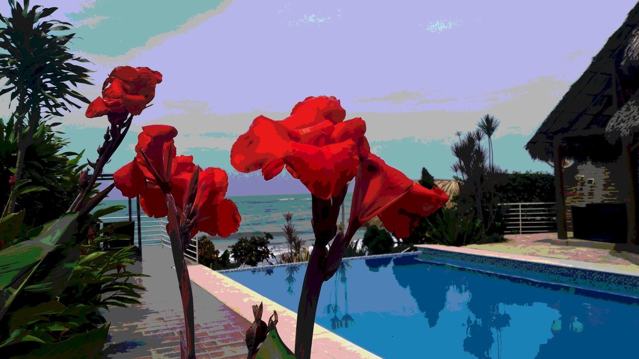 Photo of Outdoor in Masachapa