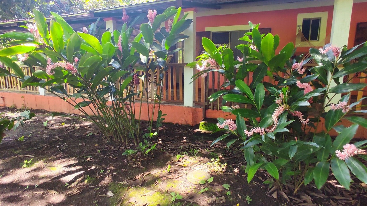 Photo of Outdoor in Diriomo