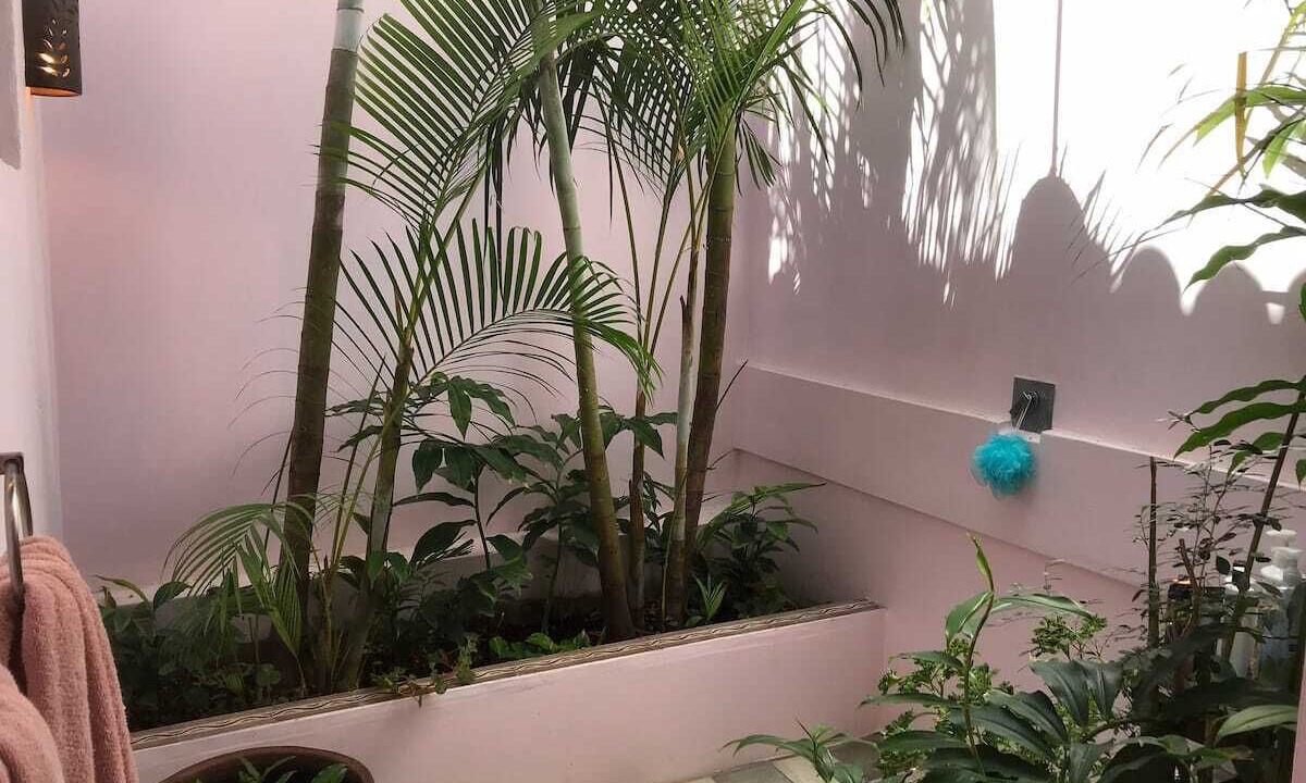 Photo of Outdoor in Granada