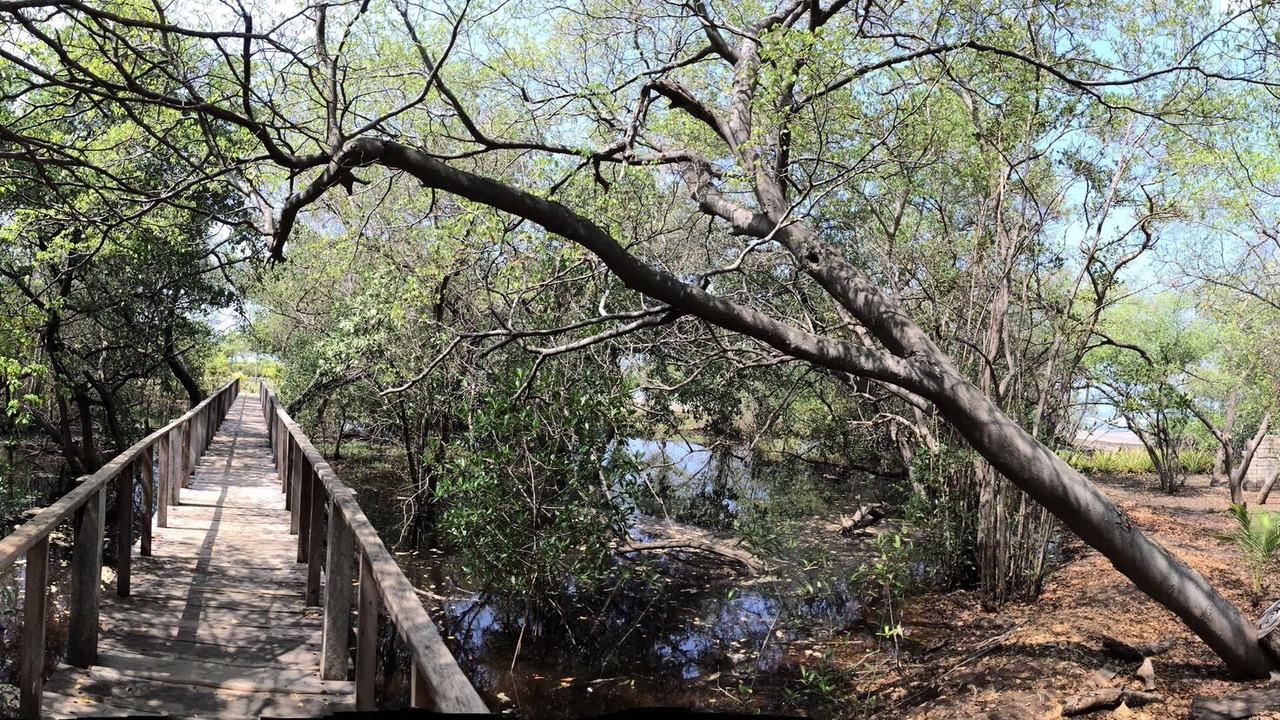 Photo of Outdoor in San Diego