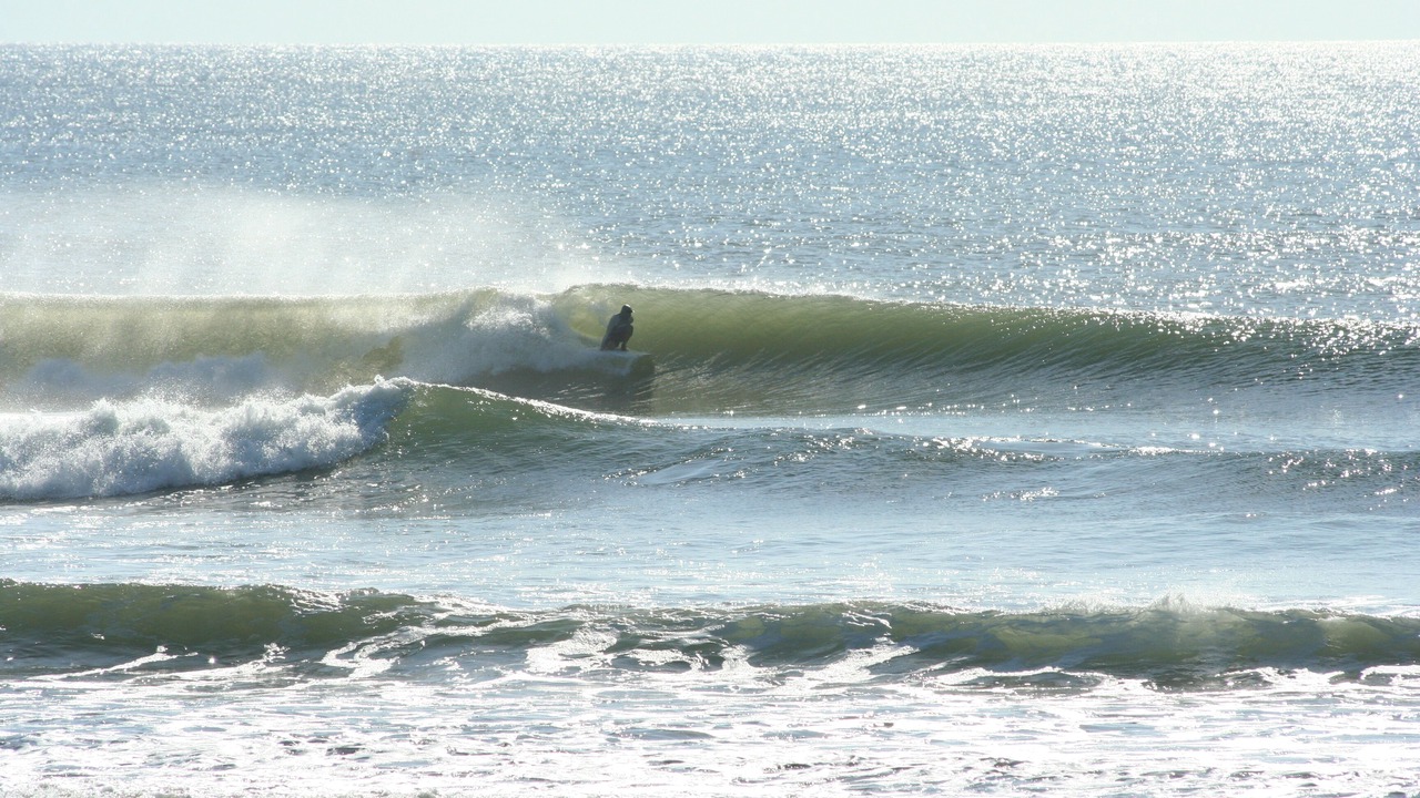 Photo of Others in San Diego