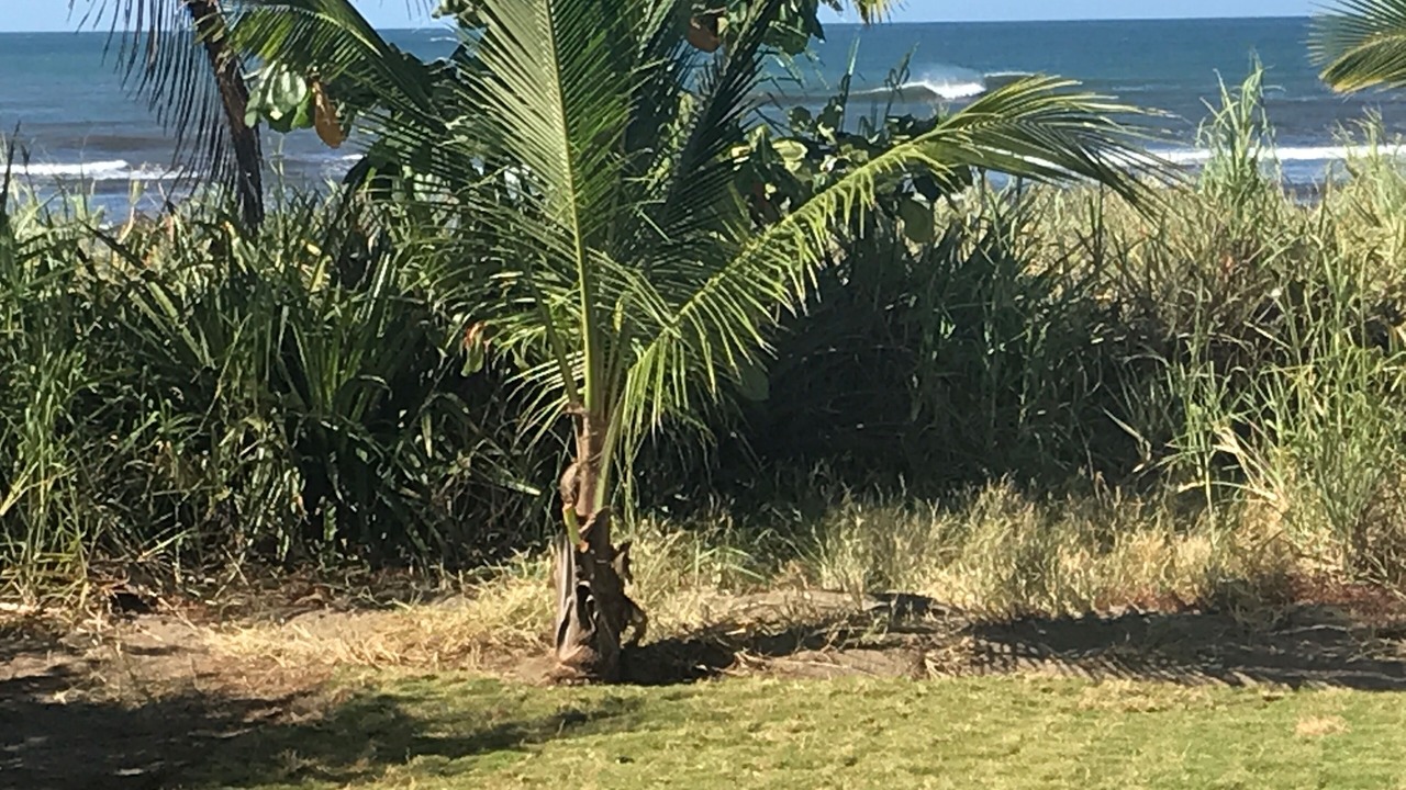 Photo of Others in San Diego
