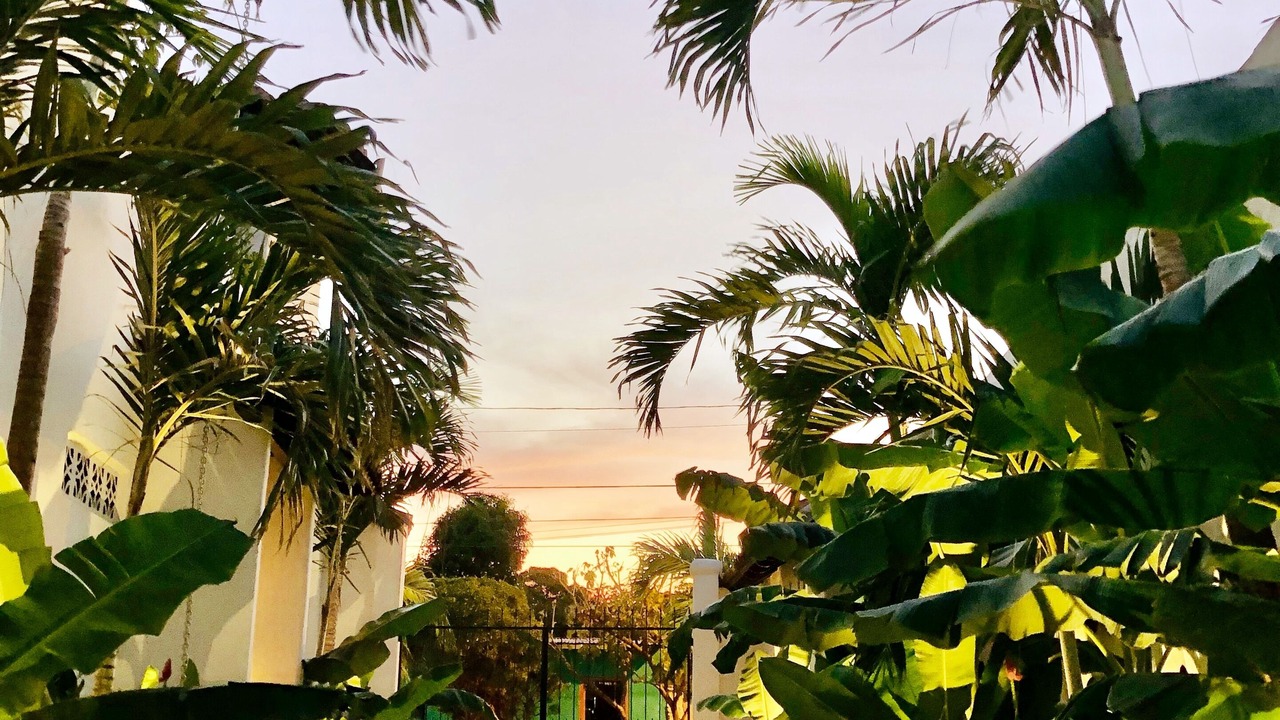Photo of Outdoor in Granada