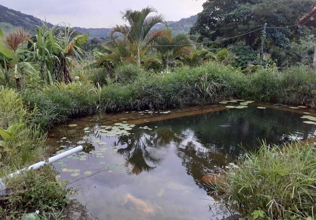 Photo of Outdoor in Boaco