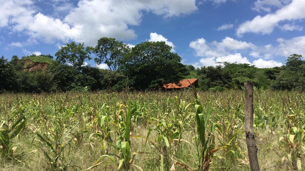 Photo of Outdoor in Boaco