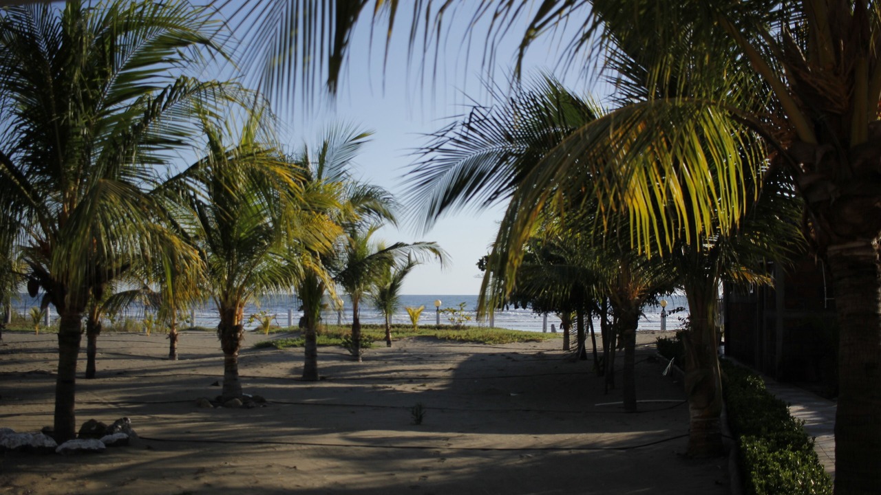 Photo of Others in Mechapa