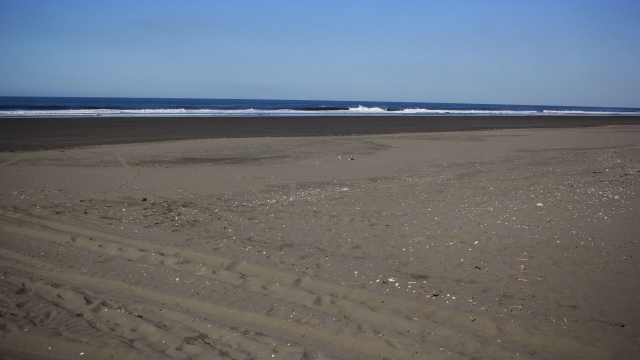 Photo of Others in Mechapa