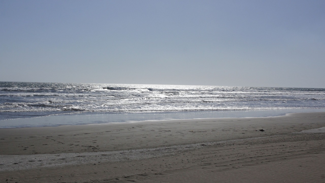Photo of Others in Mechapa