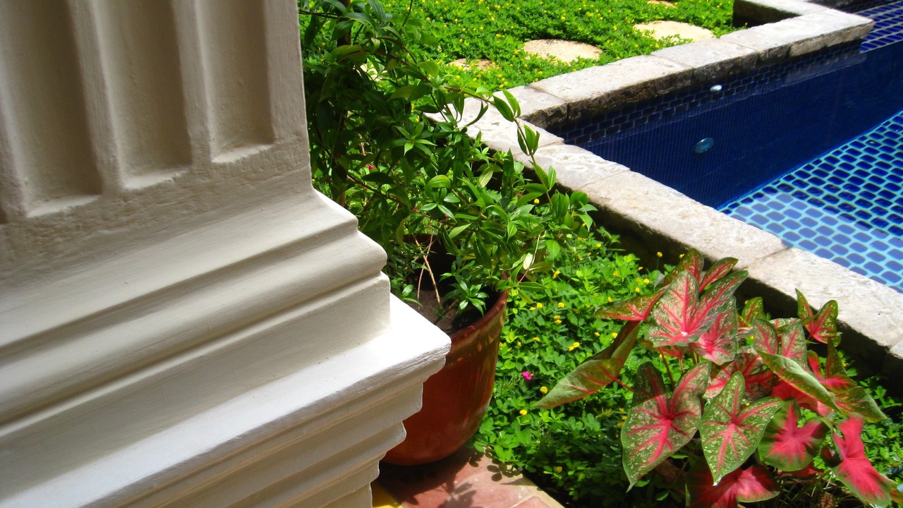 Photo of Outdoor in Granada