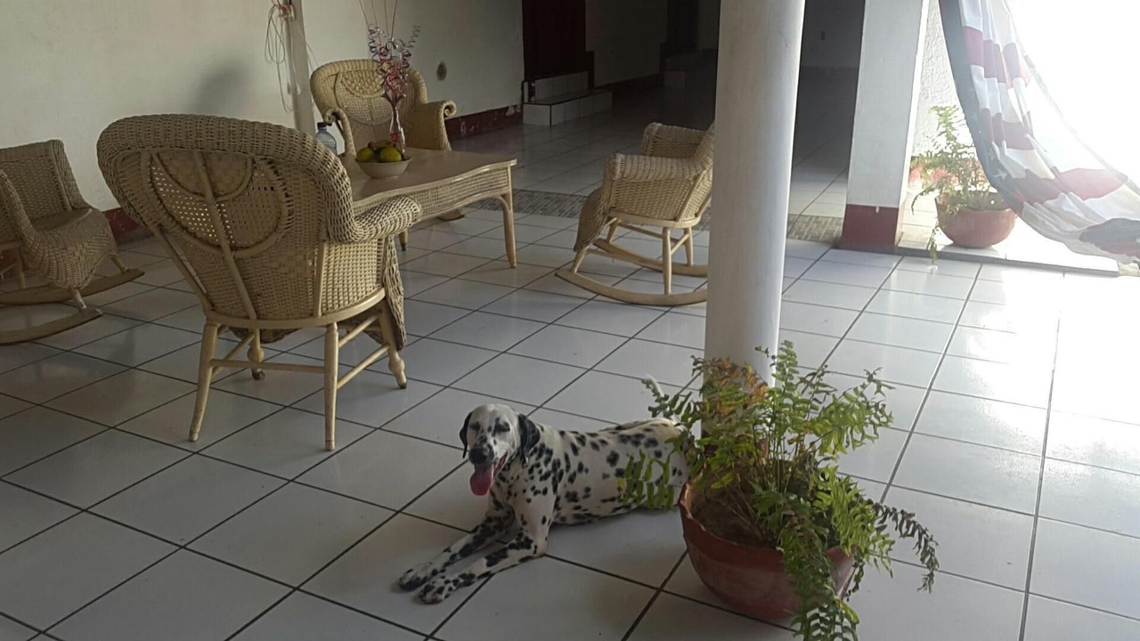 Photo of Others in Leon