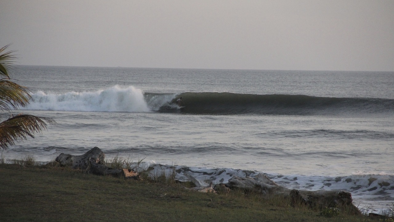 Photo of Others in San Diego