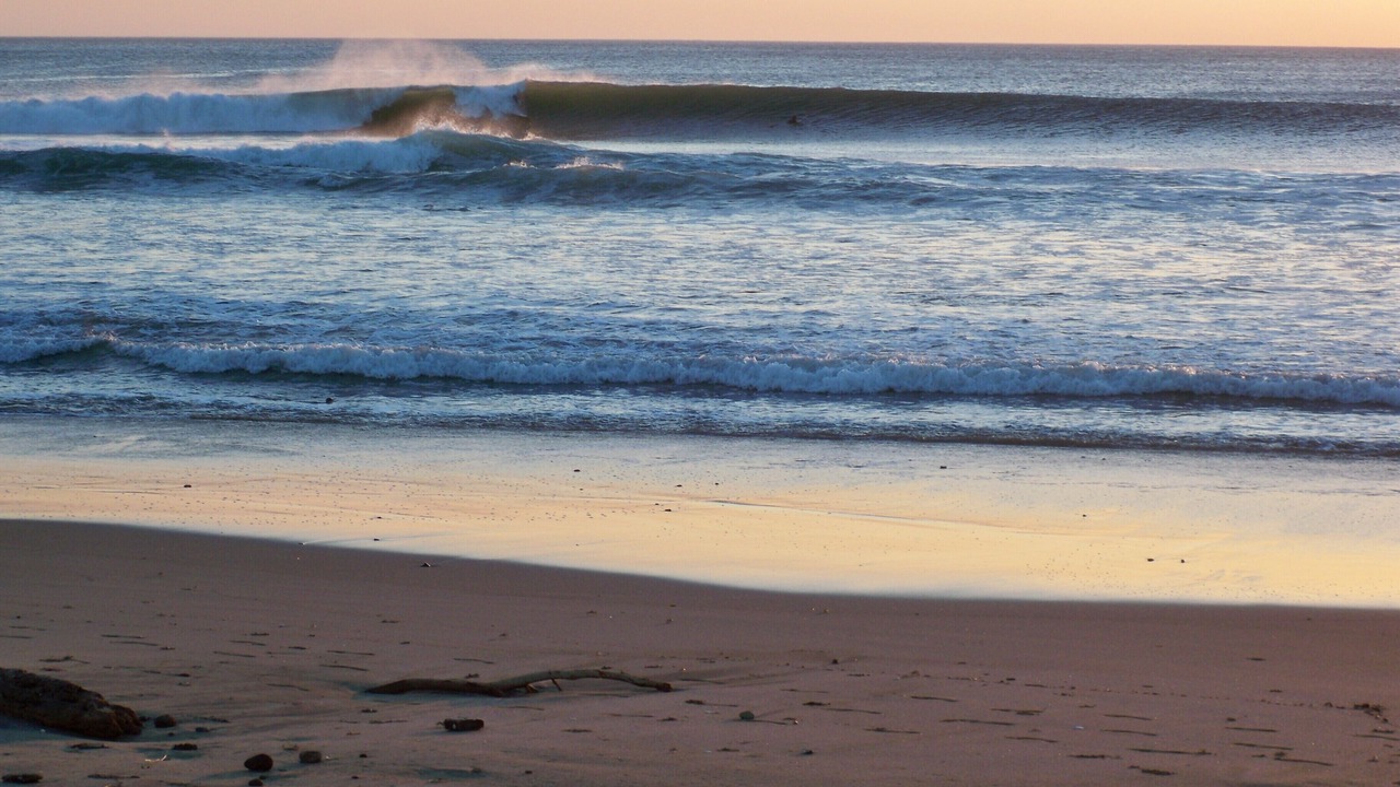 Photo of Others in San Diego