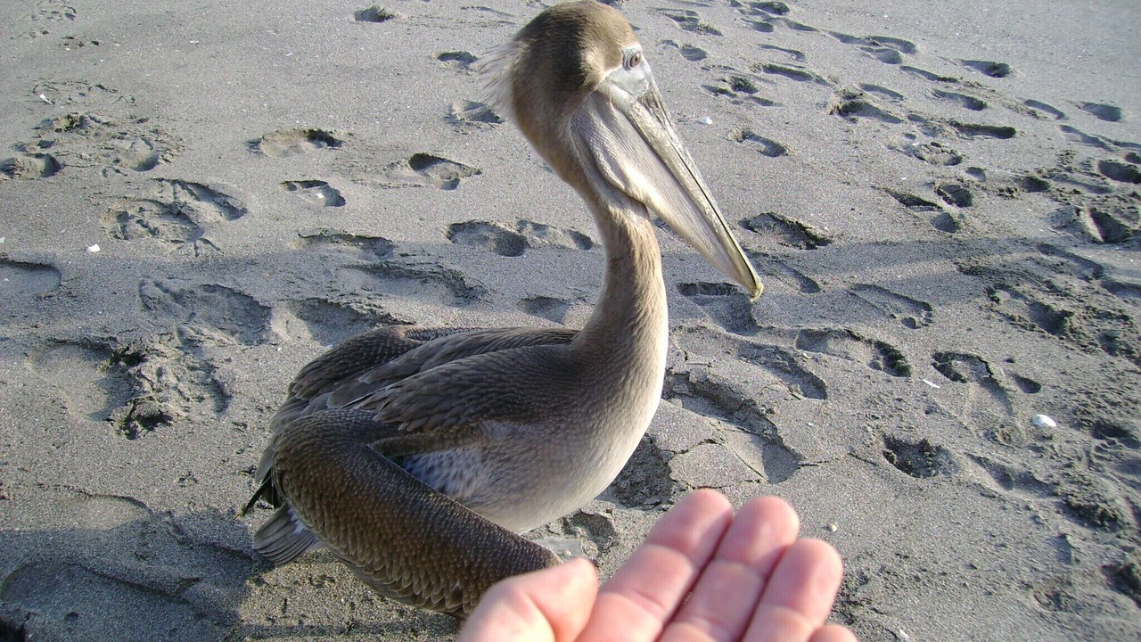 Photo of Others in San Diego