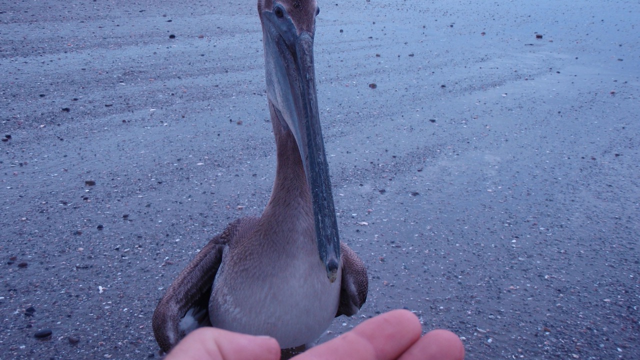 Photo of Others in San Diego