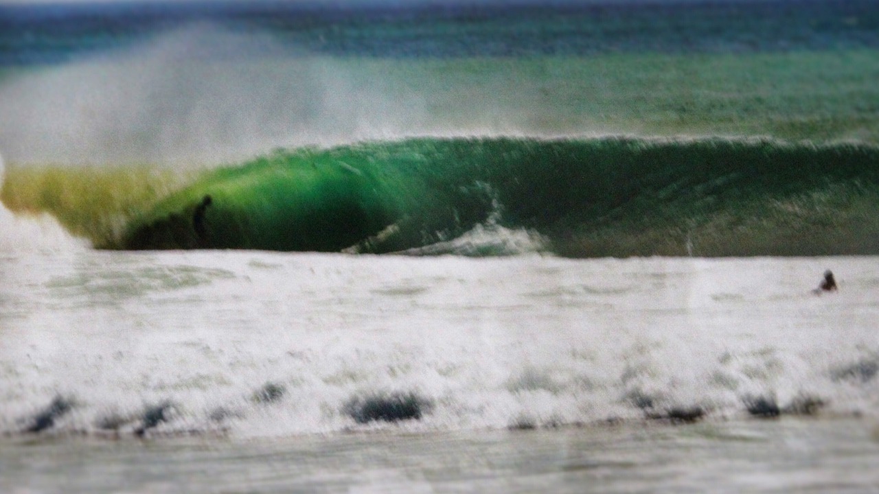 Photo of Others in San Diego