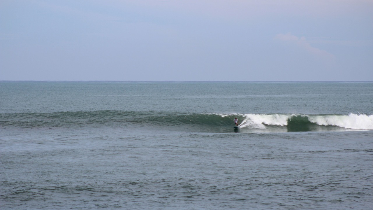 Photo of Others in San Diego