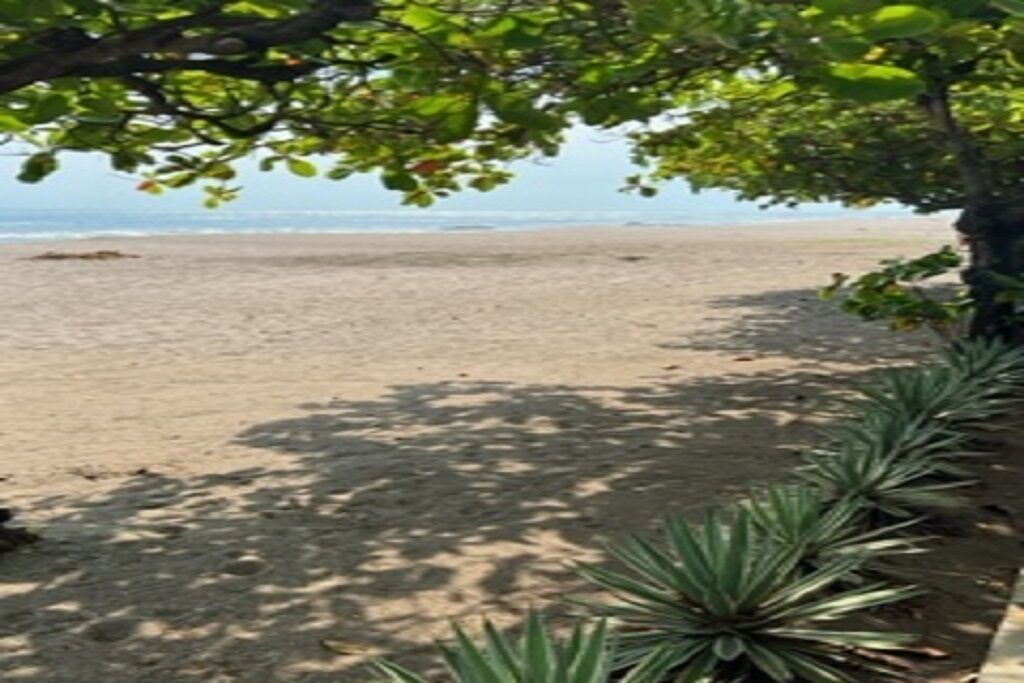 Photo of Others in Pochomil