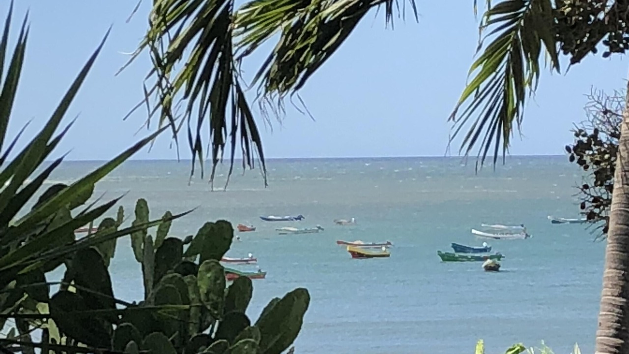 Photo of Others in Masachapa