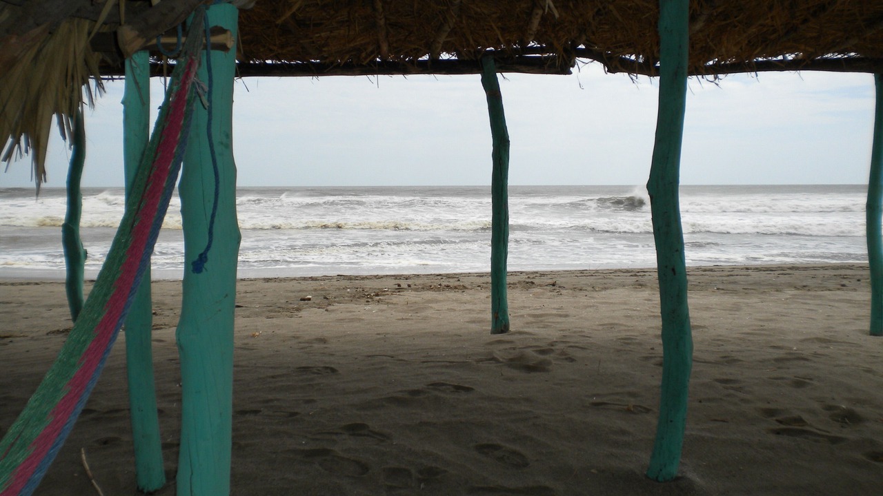 Photo of Others in Masachapa