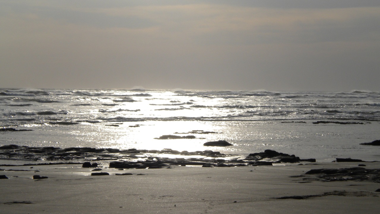 Photo of Others in Masachapa
