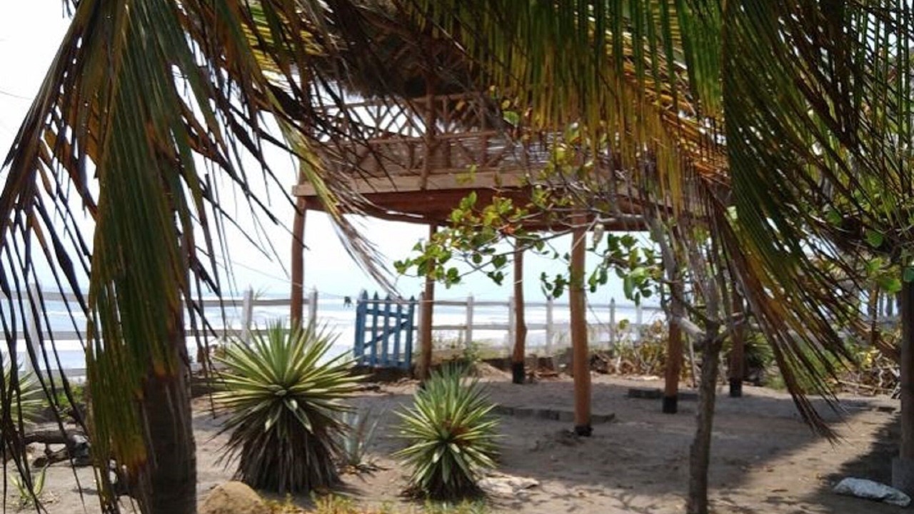 Photo of Outdoor in San Diego
